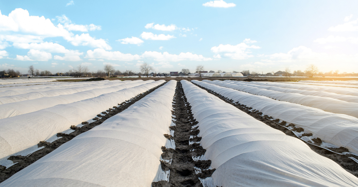 nonwoven agriculture